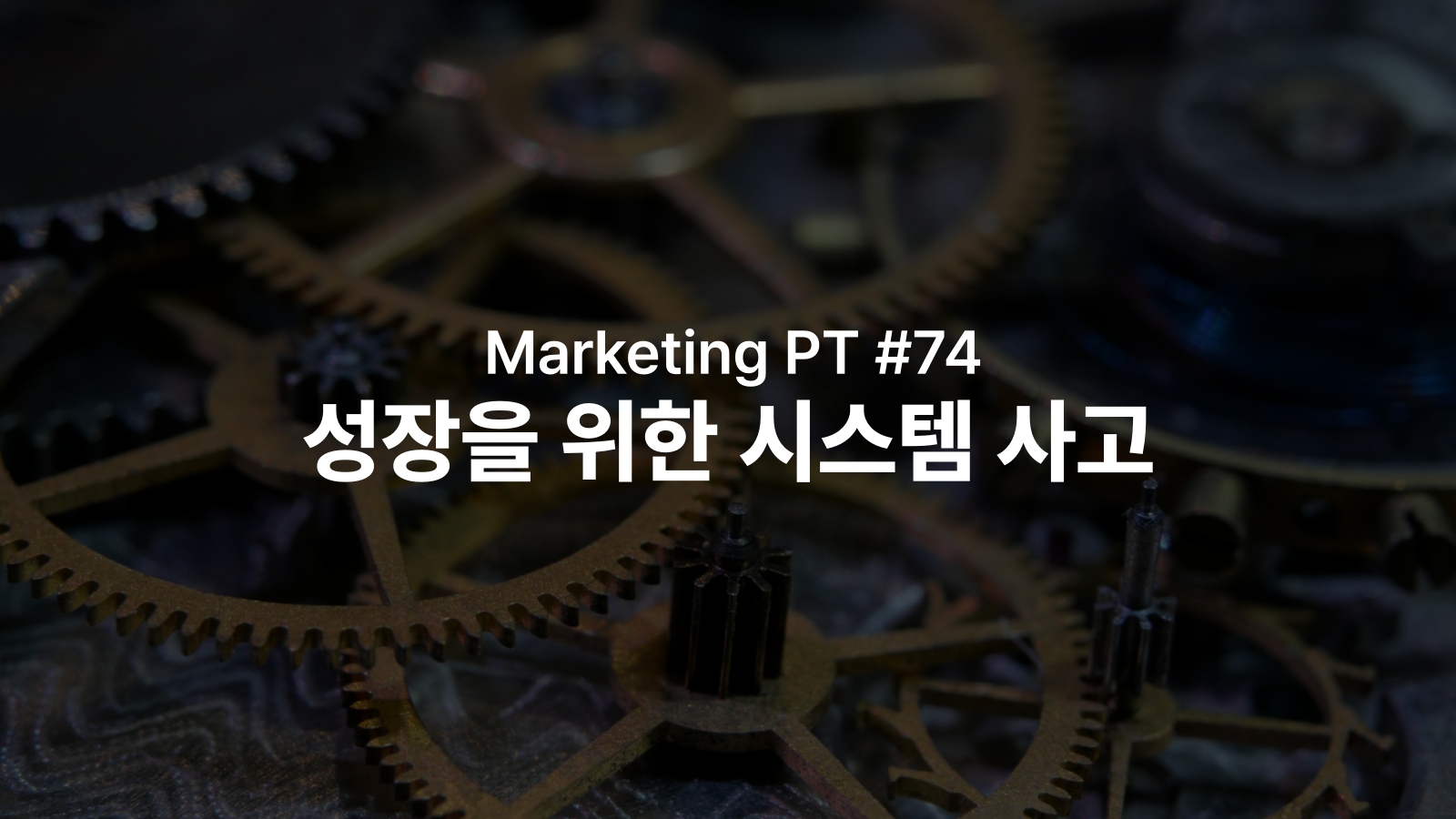 오늘의 인사이트 썸네일